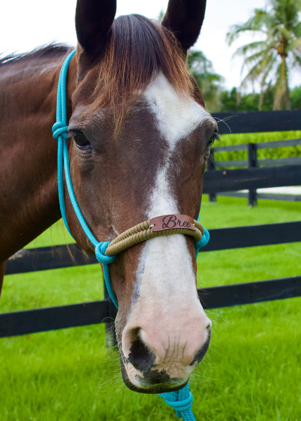Custom Halter